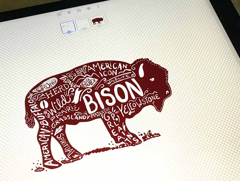 Rootlebox Wild Routed Bison Graphic Design