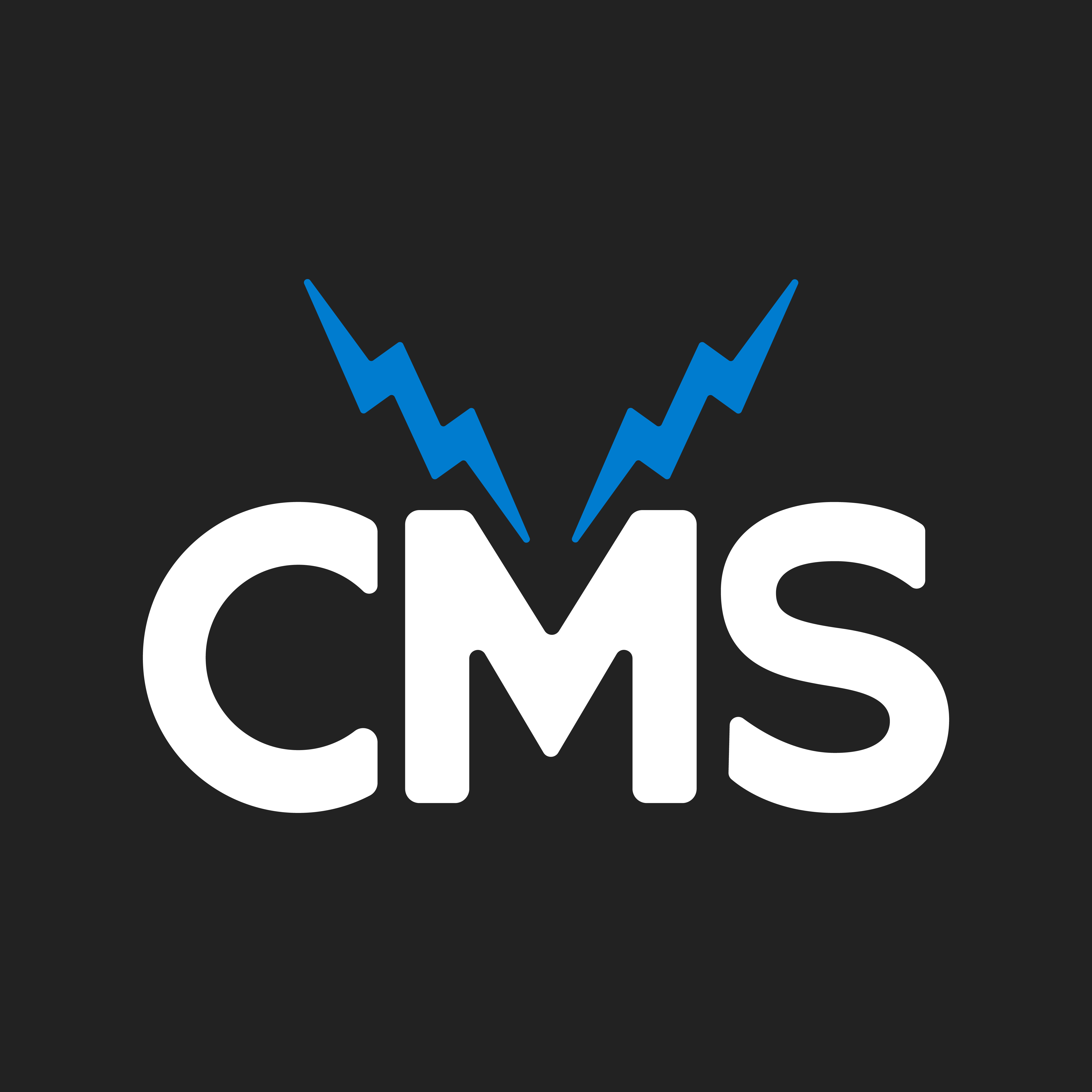 Chris Martin Studios Logo